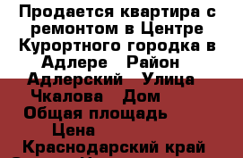 Продается квартира с ремонтом в Центре Курортного городка в Адлере › Район ­ Адлерский › Улица ­ Чкалова › Дом ­ 13 › Общая площадь ­ 20 › Цена ­ 2 995 000 - Краснодарский край, Сочи г. Недвижимость » Квартиры продажа   